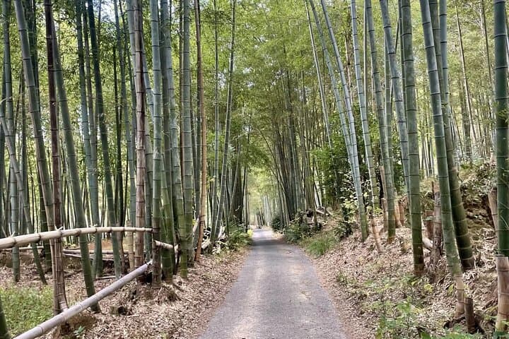 Hidden Secrets of Fushimi Inari: Bamboo Paths and Sake Village — photo 4