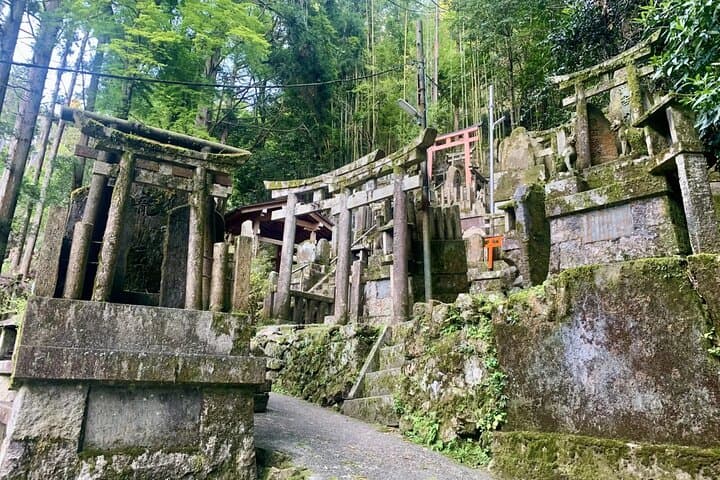 Hidden Secrets of Fushimi Inari: Bamboo Paths and Sake Village — photo 7