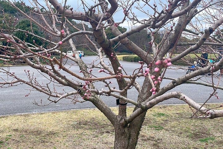 Imperial Palace to Tokyo Station Historical Walking Tour — photo 10