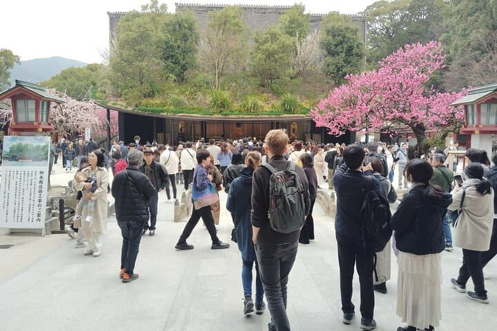 Fukuoka: Private Dazaifu Tenmangu & Ancient Capital Experience — photo 10