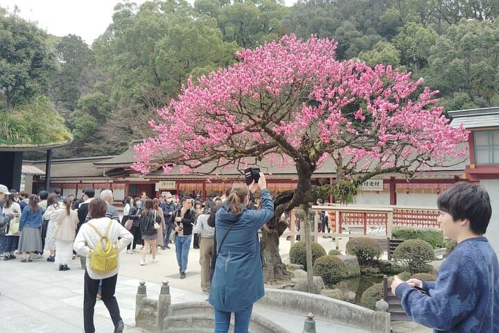 Fukuoka: Private Dazaifu Tenmangu & Ancient Capital Experience — photo 15
