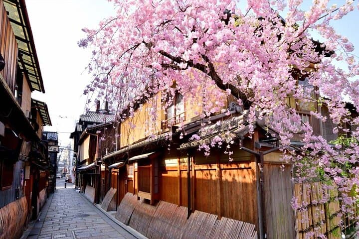 Kyoto: Izakaya & Pub Crawl Guided Walking Tour — photo 4