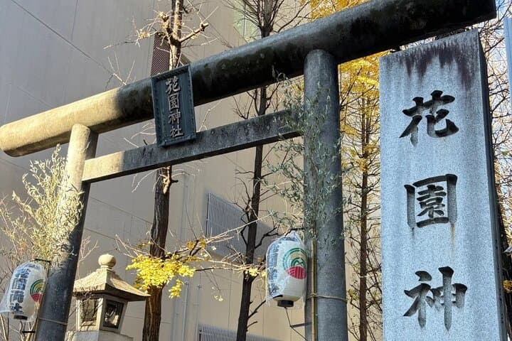 Shinjuku Highlights Walking Tour — photo 6