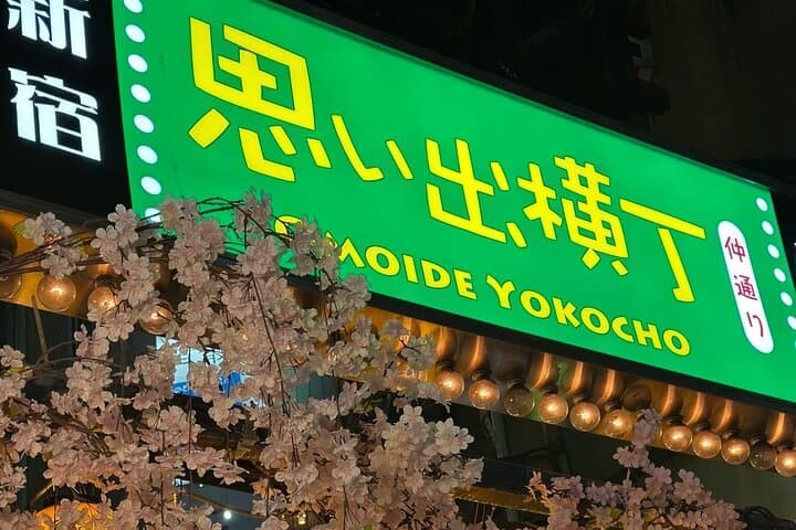 Shinjuku Highlights Walking Tour — photo 10