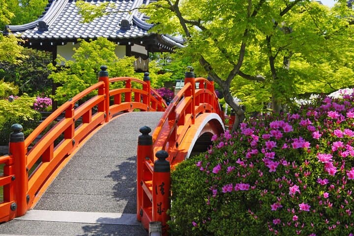 Kyoto: Nijo Castle World Heritage Guided Tour with Admission — photo 14