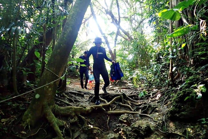 Discover Ishigaki's Hidden Treasures Snorkeling Tour at BlueCave — photo 10