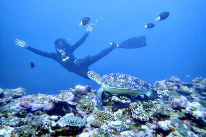 Discover Ishigaki's Hidden Treasures Snorkeling Tour at BlueCave — photo 5