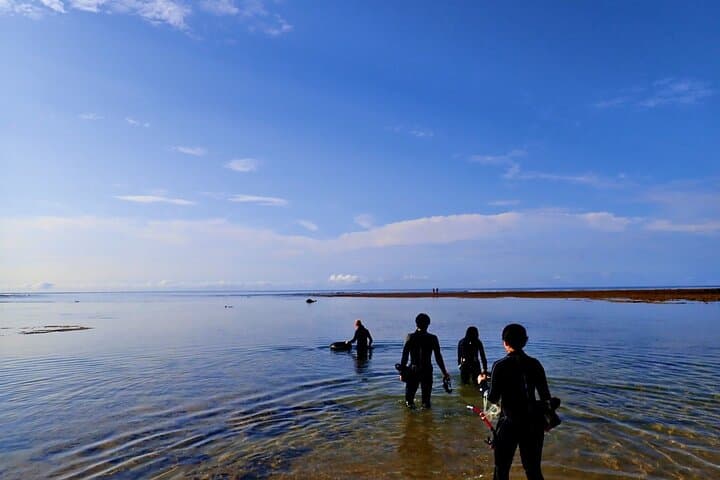 Discover Ishigaki's Hidden Treasures Snorkeling Tour at BlueCave — photo 13