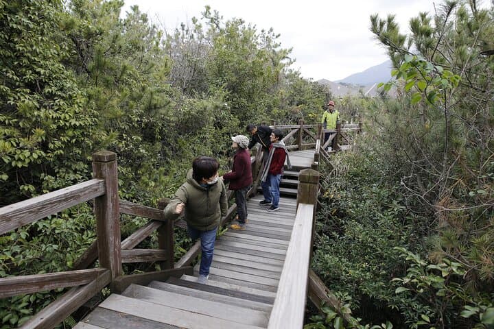 Kagoshima Virtual Reality Walk Activity — photo 3