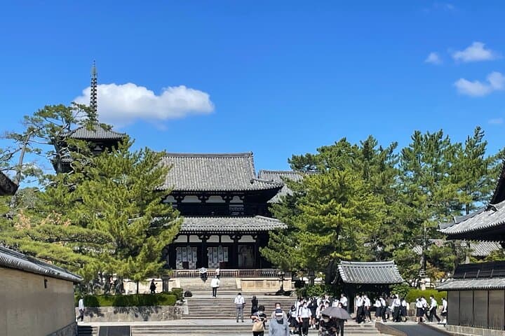 E-Bike Tour through Ikaruga’s Temples and Countryside — photo 3