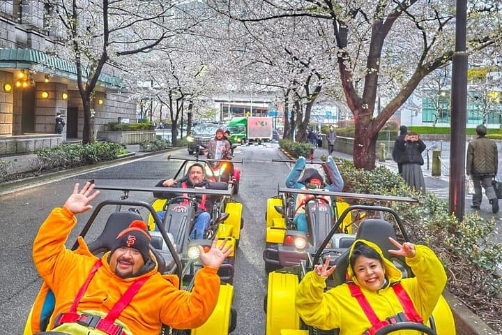 Go Kart Tokyo Spring Tour Experience — photo 2