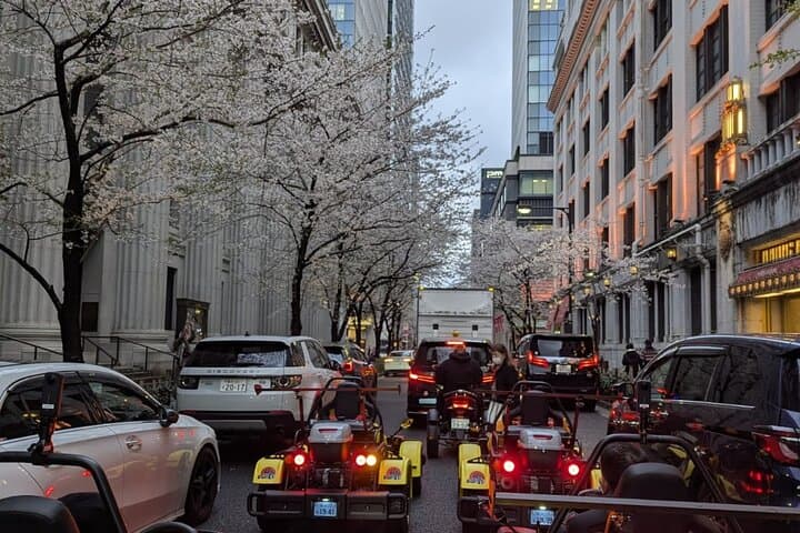 Go Kart Tokyo Spring Tour Experience — photo 5
