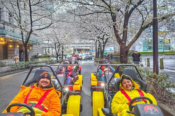 Go Kart Tokyo Spring Tour Experience — photo 15