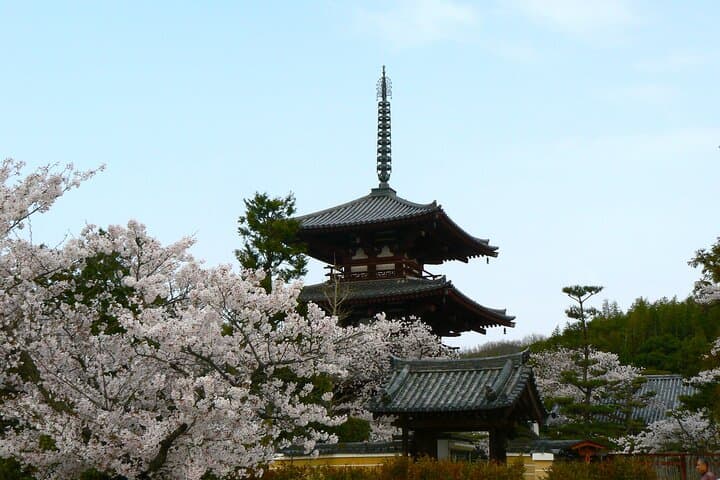 E-Bike Tour through Ikaruga’s Temples and Countryside — photo 6
