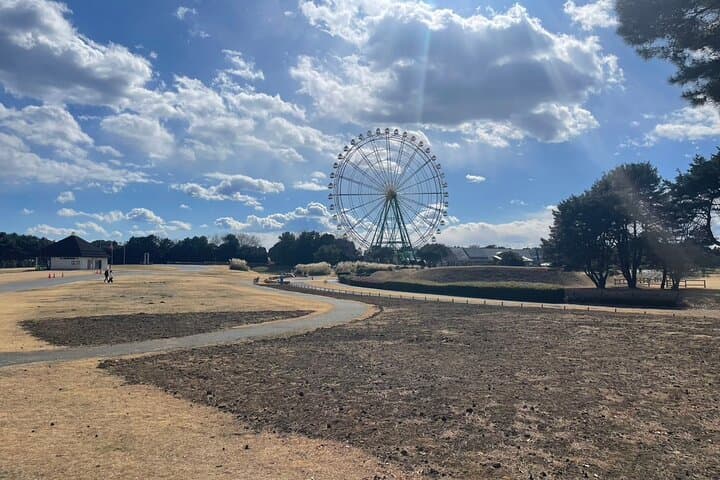 Hitachi Seaside Park & Nakaminato fish market tour — photo 4