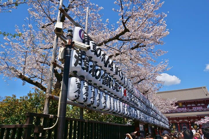 Tokyo: Asakusa Food and Culture Tour with Lunch — photo 13
