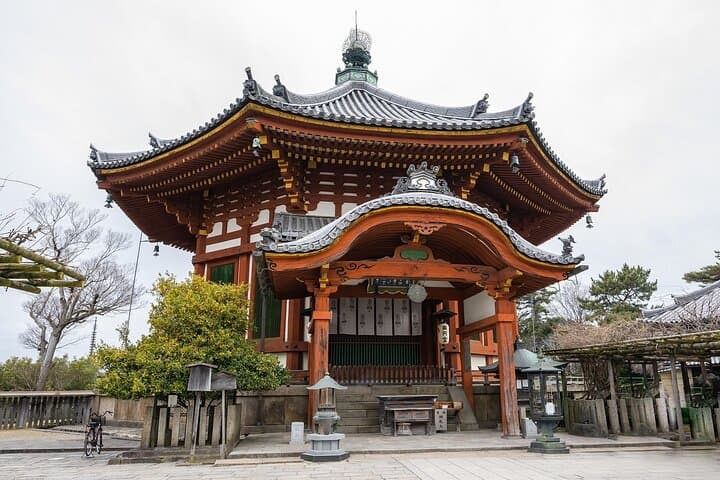 Quick Nara Tour for the First-Timers by Local Tour Guide — photo 5