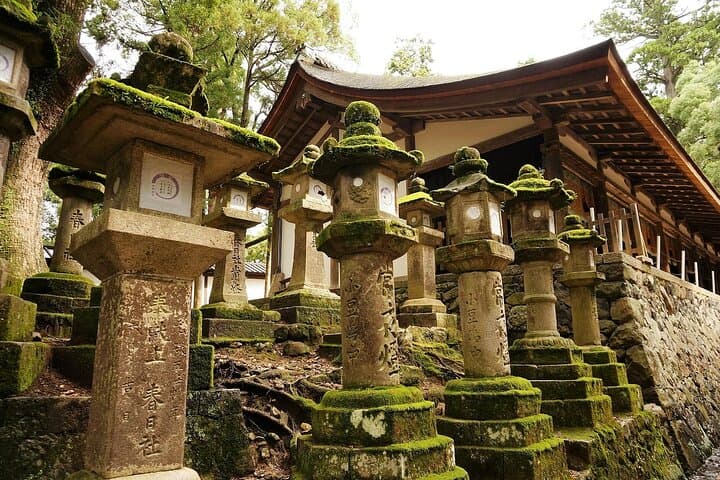 Quick Nara Tour for the First-Timers by Local Tour Guide — photo 6