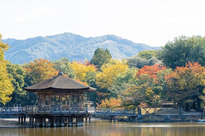 Quick Nara Tour for the First-Timers by Local Tour Guide — photo 8