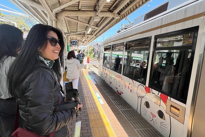 Tokyo Private Walking Tour Hidden Gems and Icons — photo 15