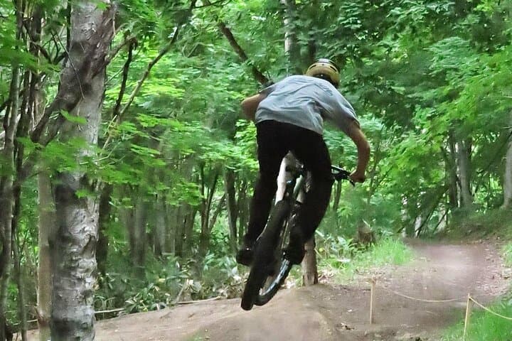 Niseko Mountain Biking Tour — photo 4