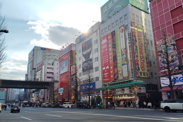 Tokyo Private Custom Walking Tour — photo 17