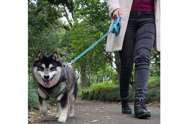 Yasukuni Shrine Shiba Inu Walk: Explore Tokyo’s Quiet Side — photo 6