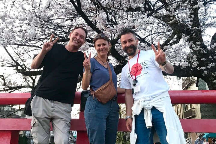 SAKURA SPOT & OLD TOWN 45 min