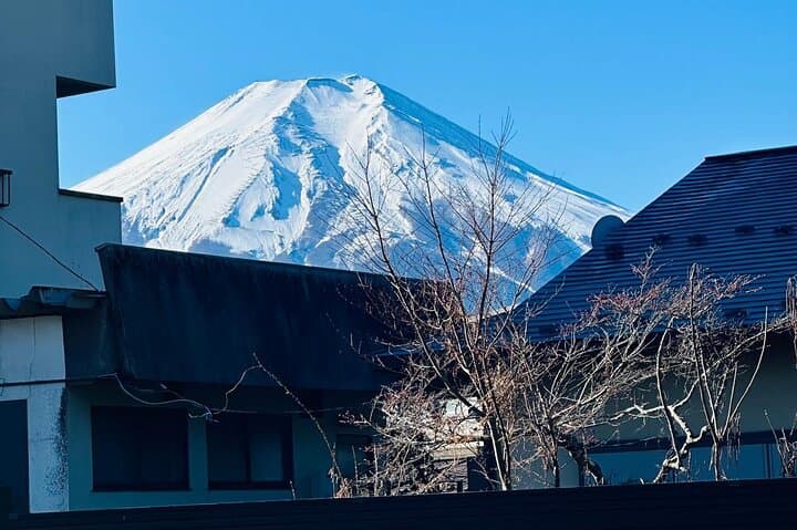 From Tokyo: Mt Fuji private 1 day customizable tour in English — photo 4