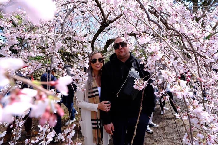 KYOTO Explore Top Highlights by Private Walking Tour — photo 2