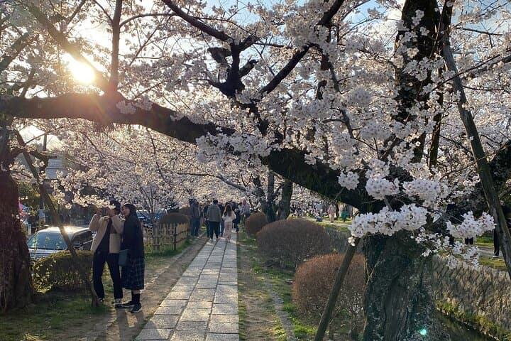Kyoto Private & Customizable Tour with English-Speaking Driver — photo 7