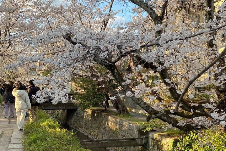 Kyoto Private & Customizable Tour with English-Speaking Driver — photo 5