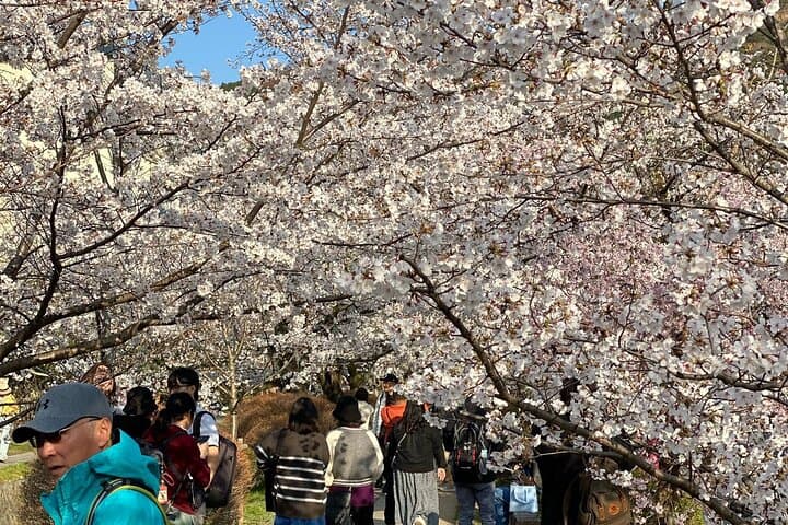 Kyoto Private & Customizable Tour with English-Speaking Driver — photo 15