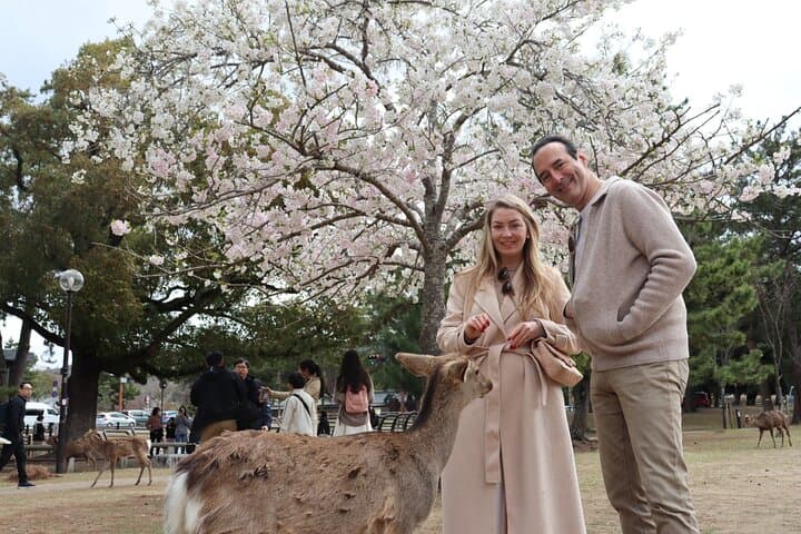 Private Nara Tour and Sake Tasting (Departing from Kyoto/Nara) — photo 3