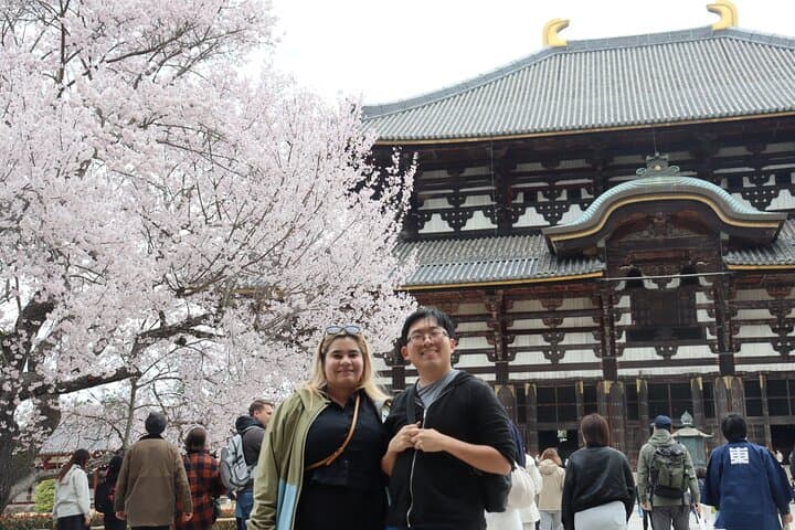 Private Nara Tour and Sake Tasting (Departing from Kyoto/Nara) — photo 12