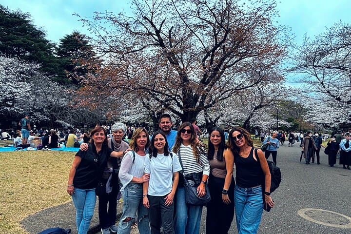Exclusive One-Day Tokyo Private Walking Tour with Expert Guide — photo 3