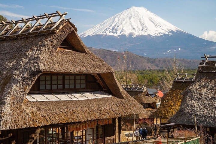 From Tokyo: Mt Fuji private 1 day customizable tour in English — photo 5