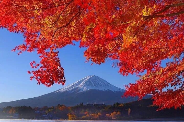From Tokyo: Mt Fuji private 1 day customizable tour in English — photo 8