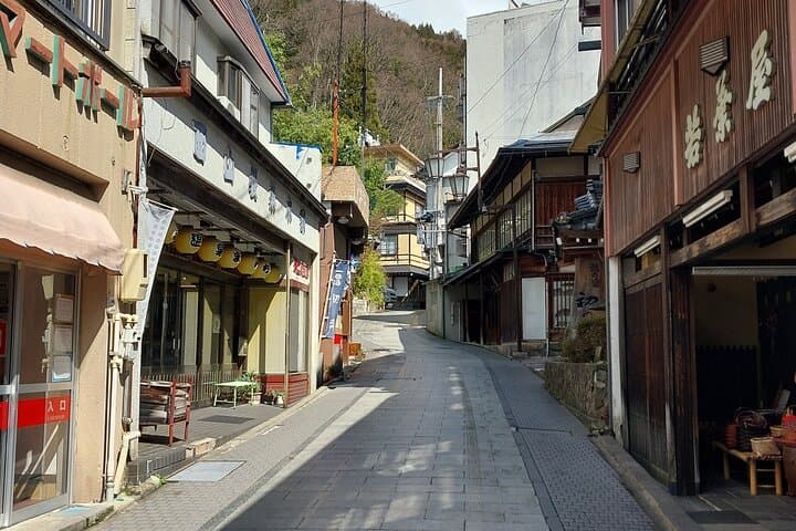 Snow Monkey Park, Soba Lunch and Shibu Onsen Tour — photo 3