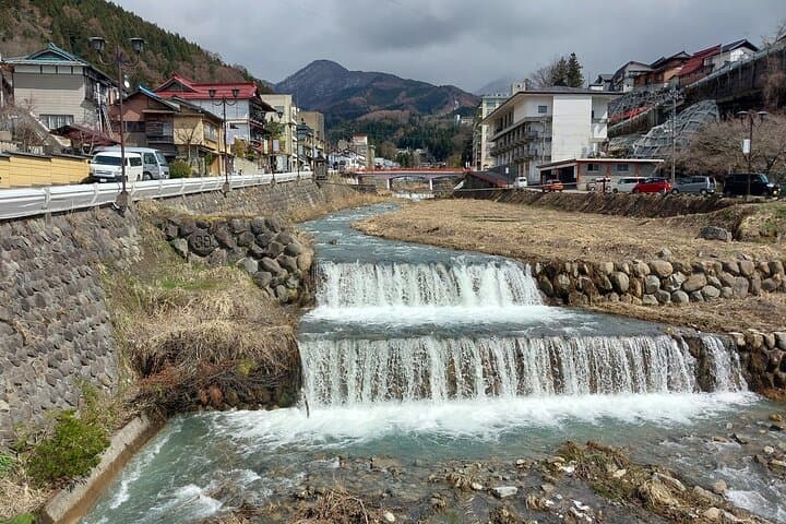 Snow Monkey Park, Soba Lunch and Shibu Onsen Tour — photo 16