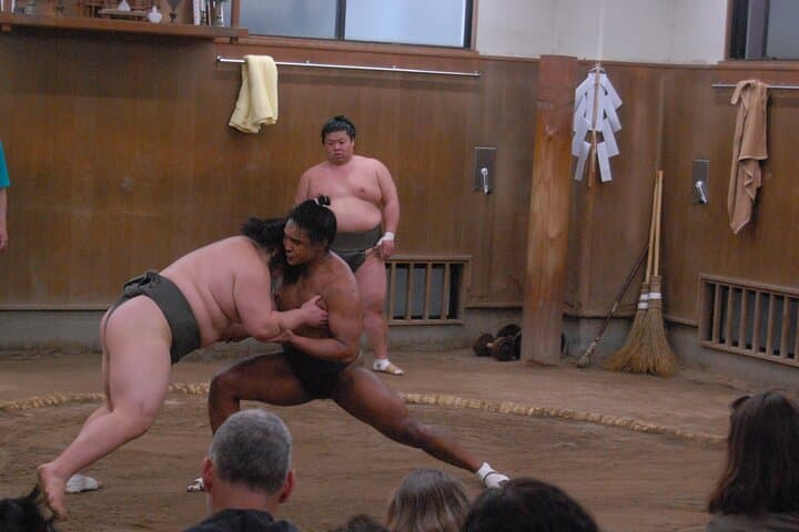 Tokyo Skytree Area: Sumo Morning Practice Stable Visit — photo 8