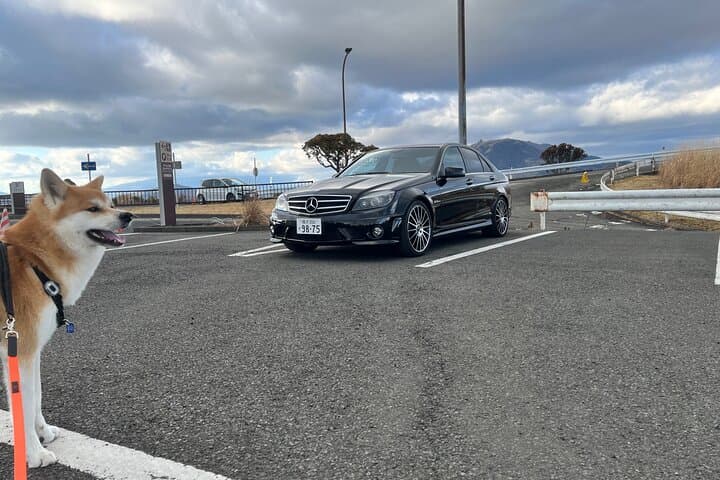 Private Daikoku Parking Area, Hakone turn Pike, Umihotaru Tours — photo 4