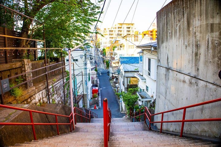 Customizable car tours in Tokyo — photo 15