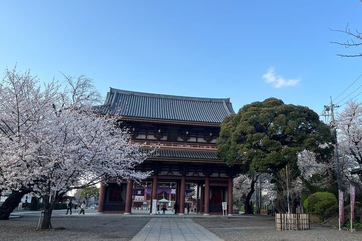Historic Temple・traditional Japanese garden＆ Eating around at a shopping strip — photo 10