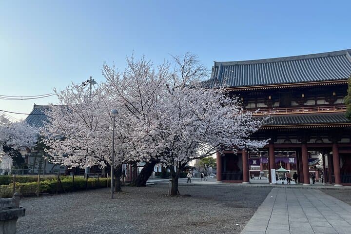 Historic Temple・traditional Japanese garden＆ Eating around at a shopping strip — photo 11