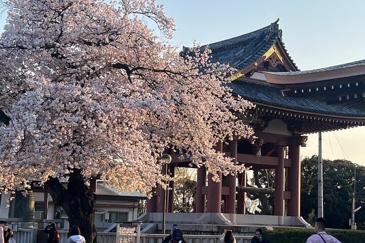 Historic Temple・traditional Japanese garden＆ Eating around at a shopping strip — photo 12