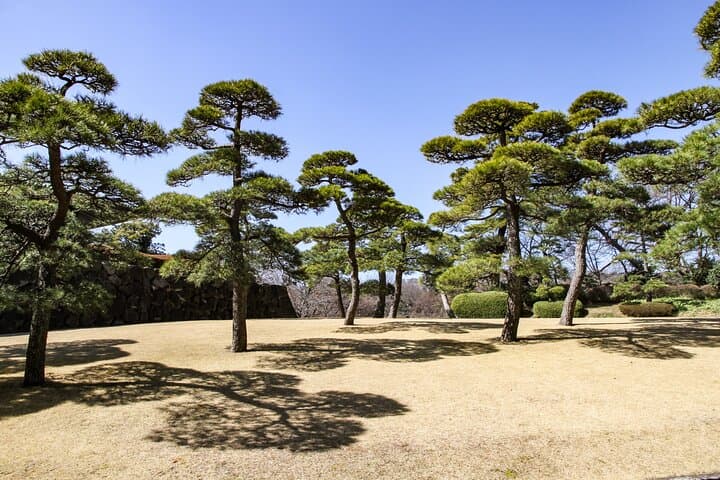 Imperial Palace to Tokyo Station Historical Walking Tour — photo 6