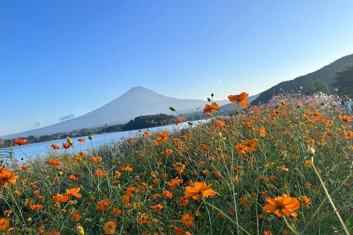 Explore Mt. Fuji : 2-Day Private Camping & Sightseeing Tour — photo 10
