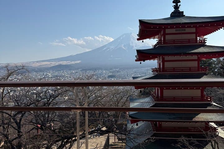 Private Tour to Mt. Fuji and Hakone (Fully Licensed Operator) — photo 12