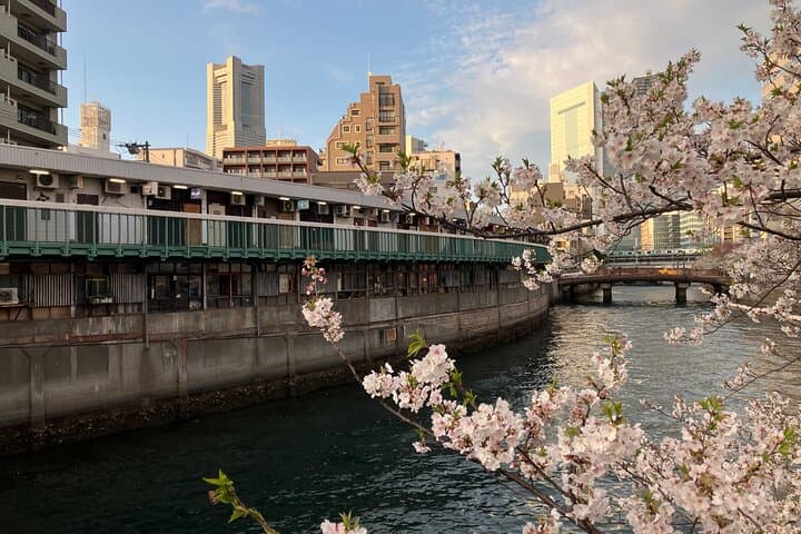 Private Yokohama Noge Food & Bar Tour – Local Night Experience — photo 9
